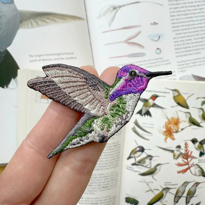Costa's Hummingbird Patch