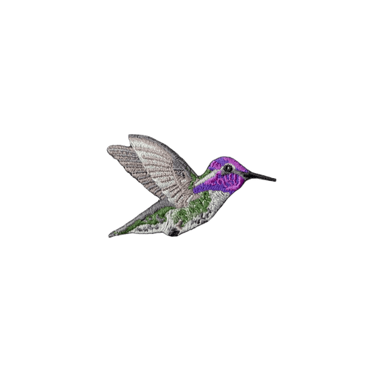Costa's Hummingbird Patch