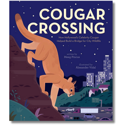 Cougar Crossing: How Hollywood's Celebrity Cougar Helped Build a Bridge for City Wildlife