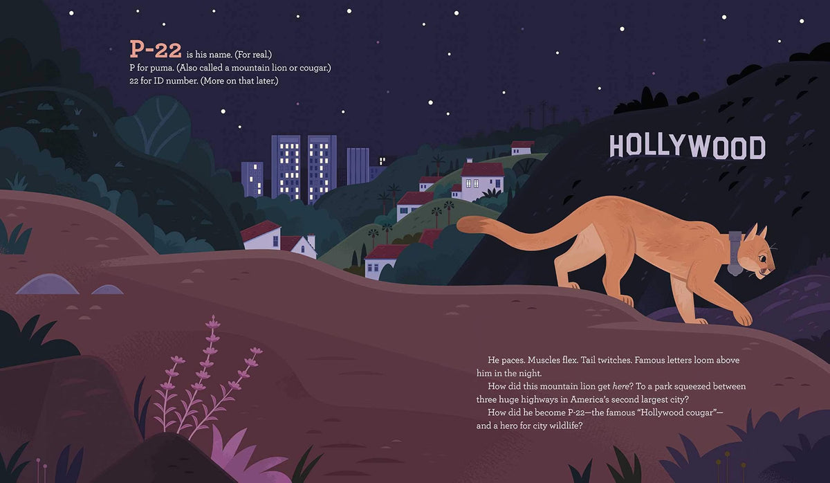 Cougar Crossing: How Hollywood's Celebrity Cougar Helped Build a Bridge for City Wildlife
