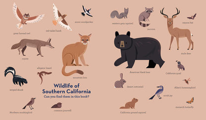 Cougar Crossing: How Hollywood's Celebrity Cougar Helped Build a Bridge for City Wildlife