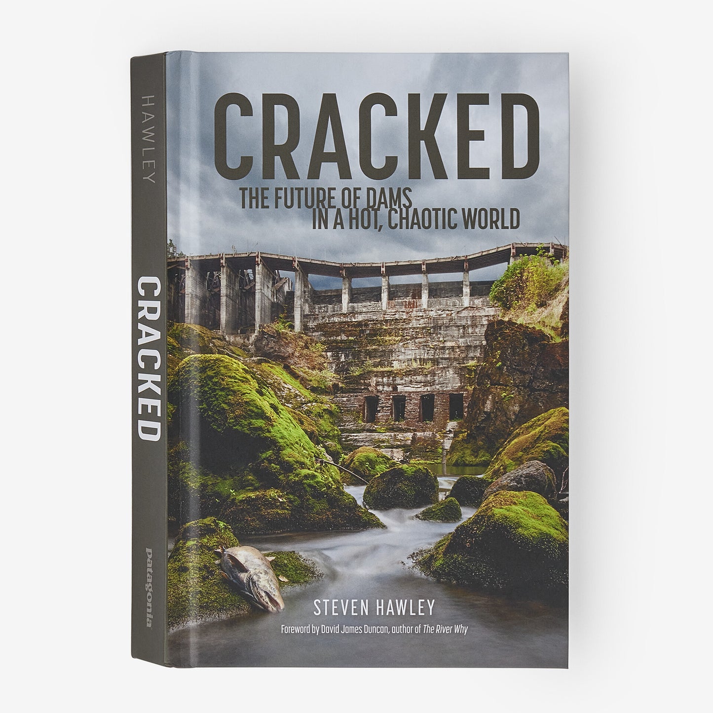 Cracked: The Future of Dams in a Hot, Chaotic World