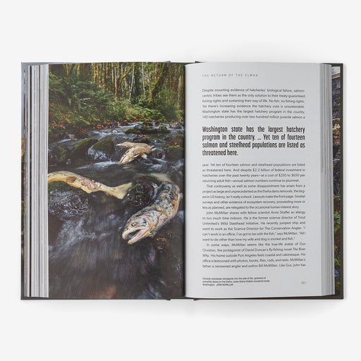 Cracked: The Future of Dams in a Hot, Chaotic World