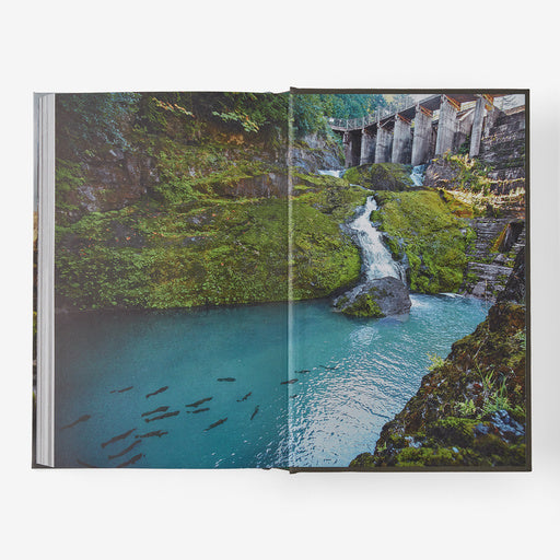 Cracked: The Future of Dams in a Hot, Chaotic World