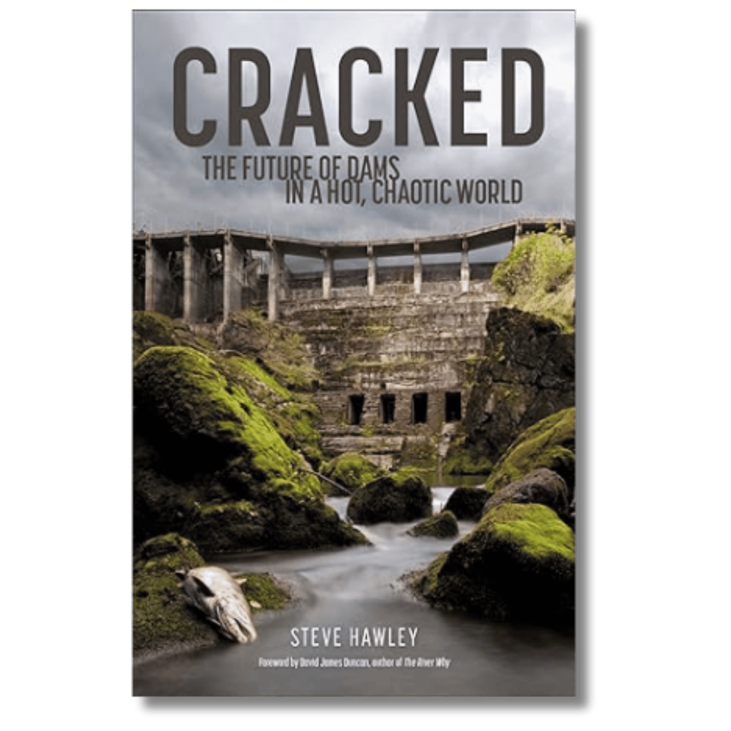 Cracked: The Future of Dams in a Hot, Chaotic World