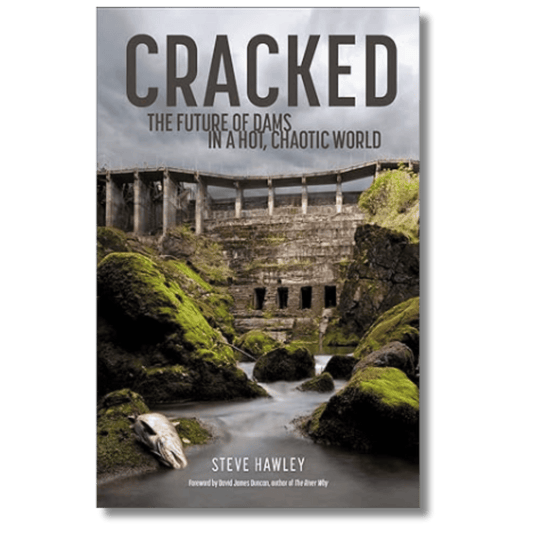 Cracked: The Future of Dams in a Hot, Chaotic World