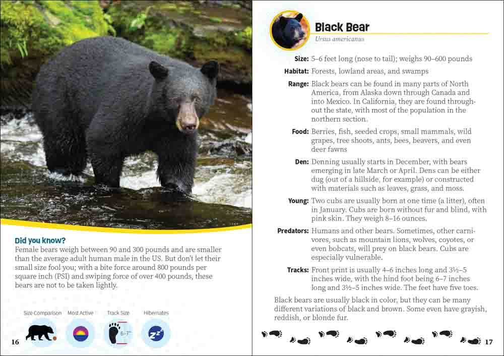 Critters of California Pocket Guide