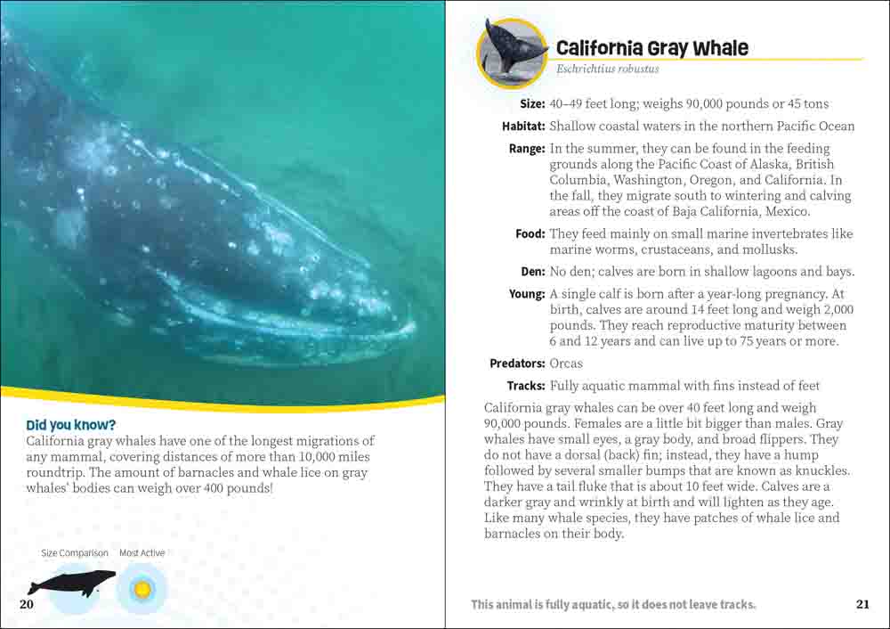 Critters of California Pocket Guide