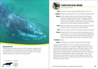 Critters of California Pocket Guide