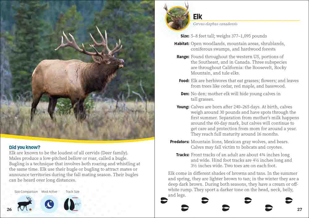 Critters of California Pocket Guide