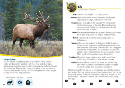 Critters of California Pocket Guide