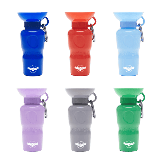 Water Bottle for Pups