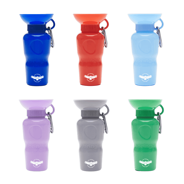 Water Bottle for Pups