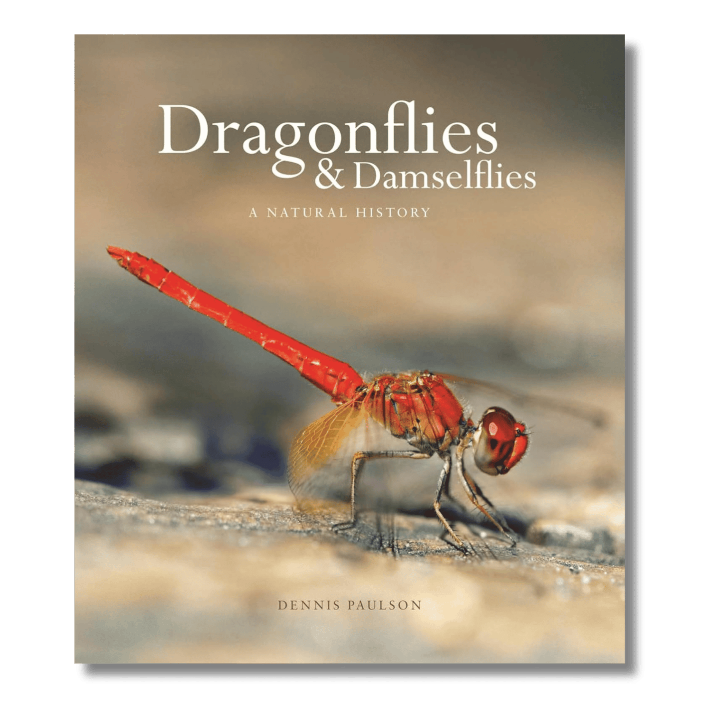 Dragonflies & Damselflies: A Natural History