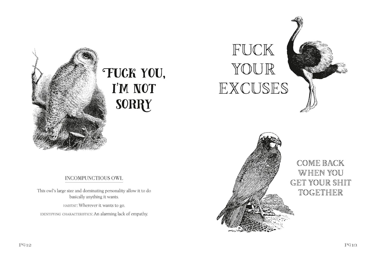 Effin' Birds: A Field Guide to Identification
