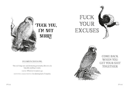 Effin' Birds: A Field Guide to Identification