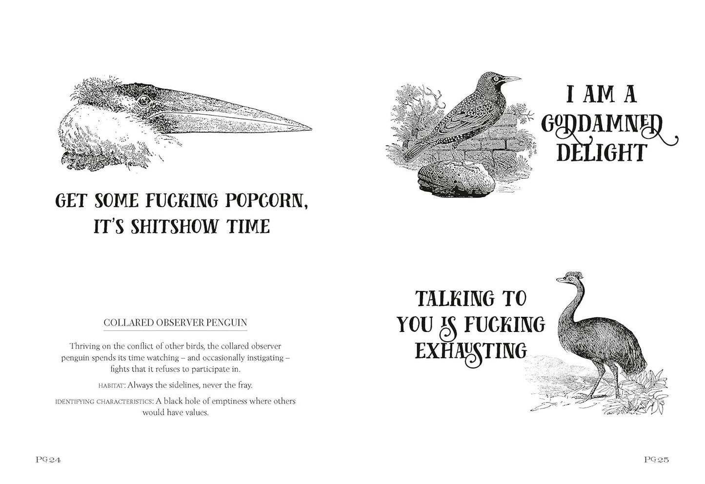 Effin' Birds: A Field Guide to Identification