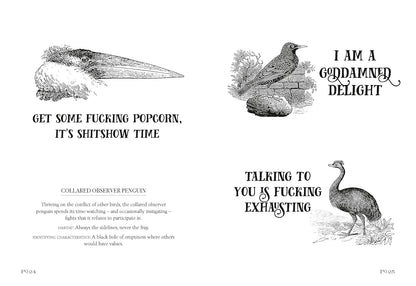 Effin' Birds: A Field Guide to Identification