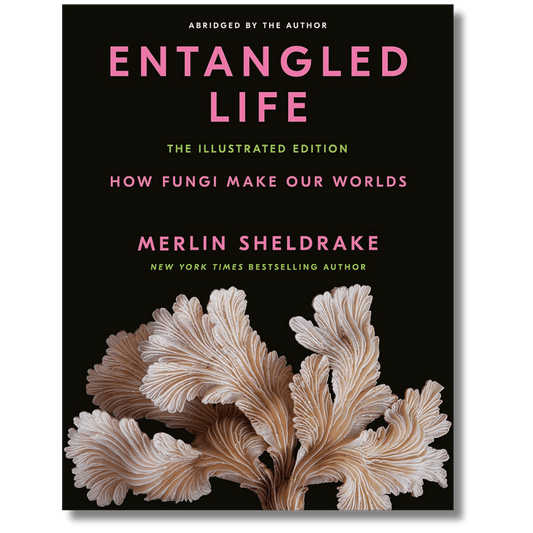Entangled Life: The Illustrated Edition: How Fungi Make Our Worlds