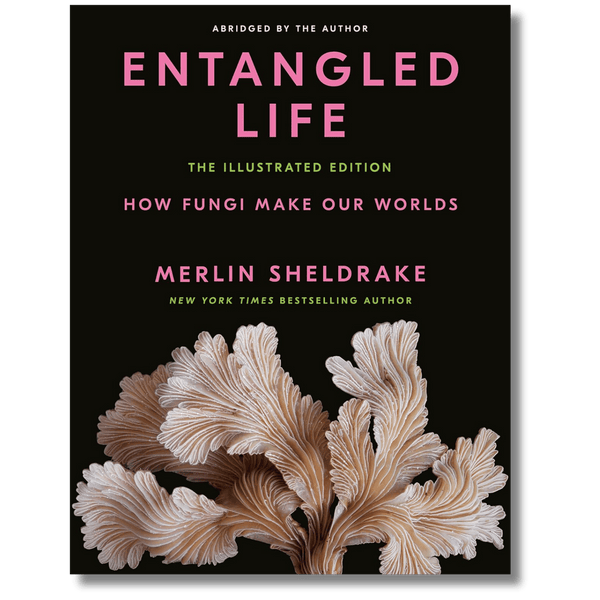 Entangled Life: The Illustrated Edition: How Fungi Make Our Worlds