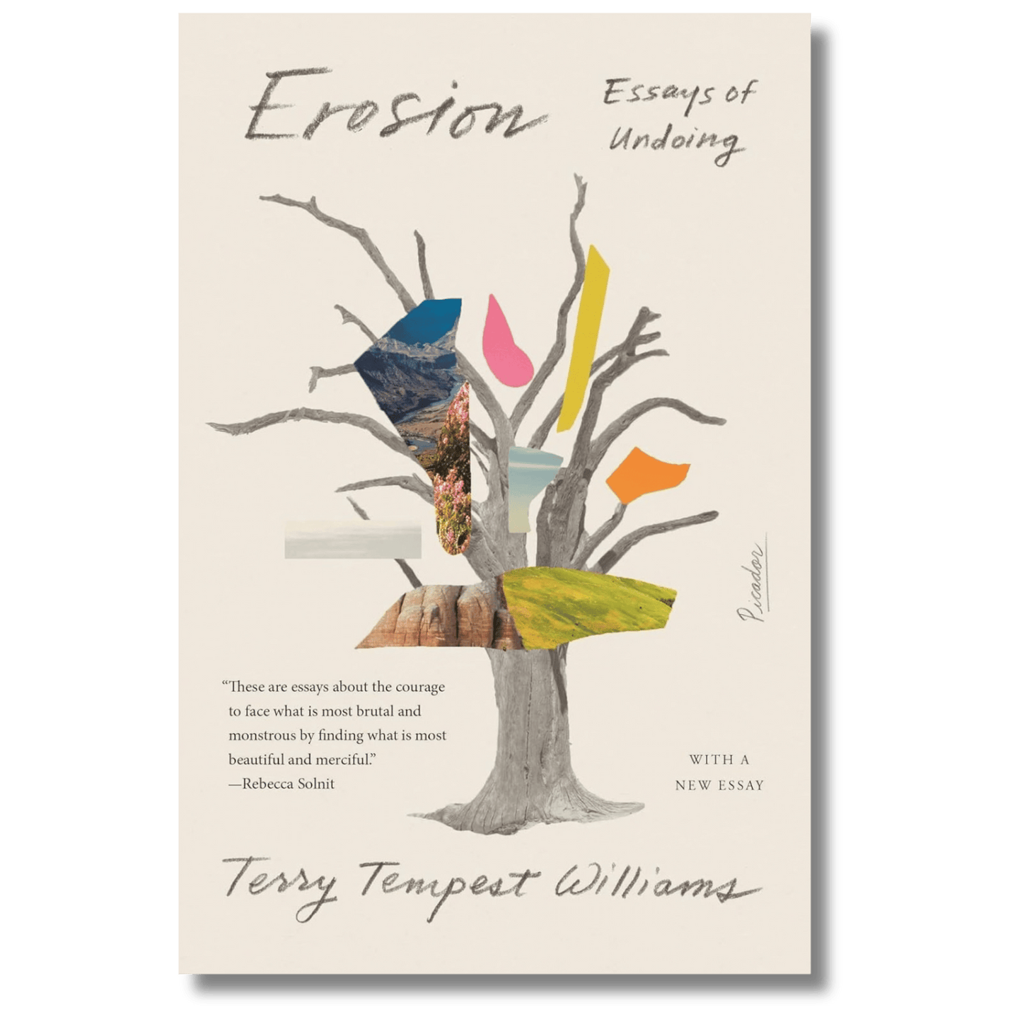 Erosion: Essays of Undoing