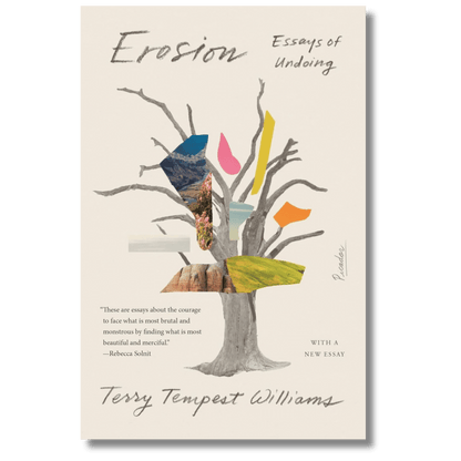 Erosion: Essays of Undoing
