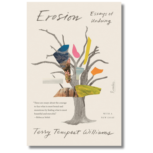 Erosion: Essays of Undoing