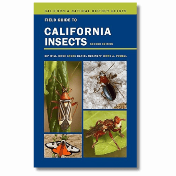 Field Guide to California Insects