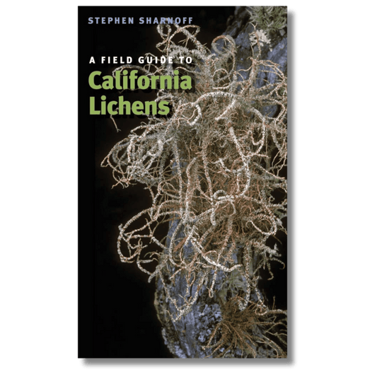 Field Guide to California Lichens
