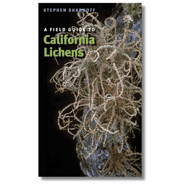 Field Guide to California Lichens
