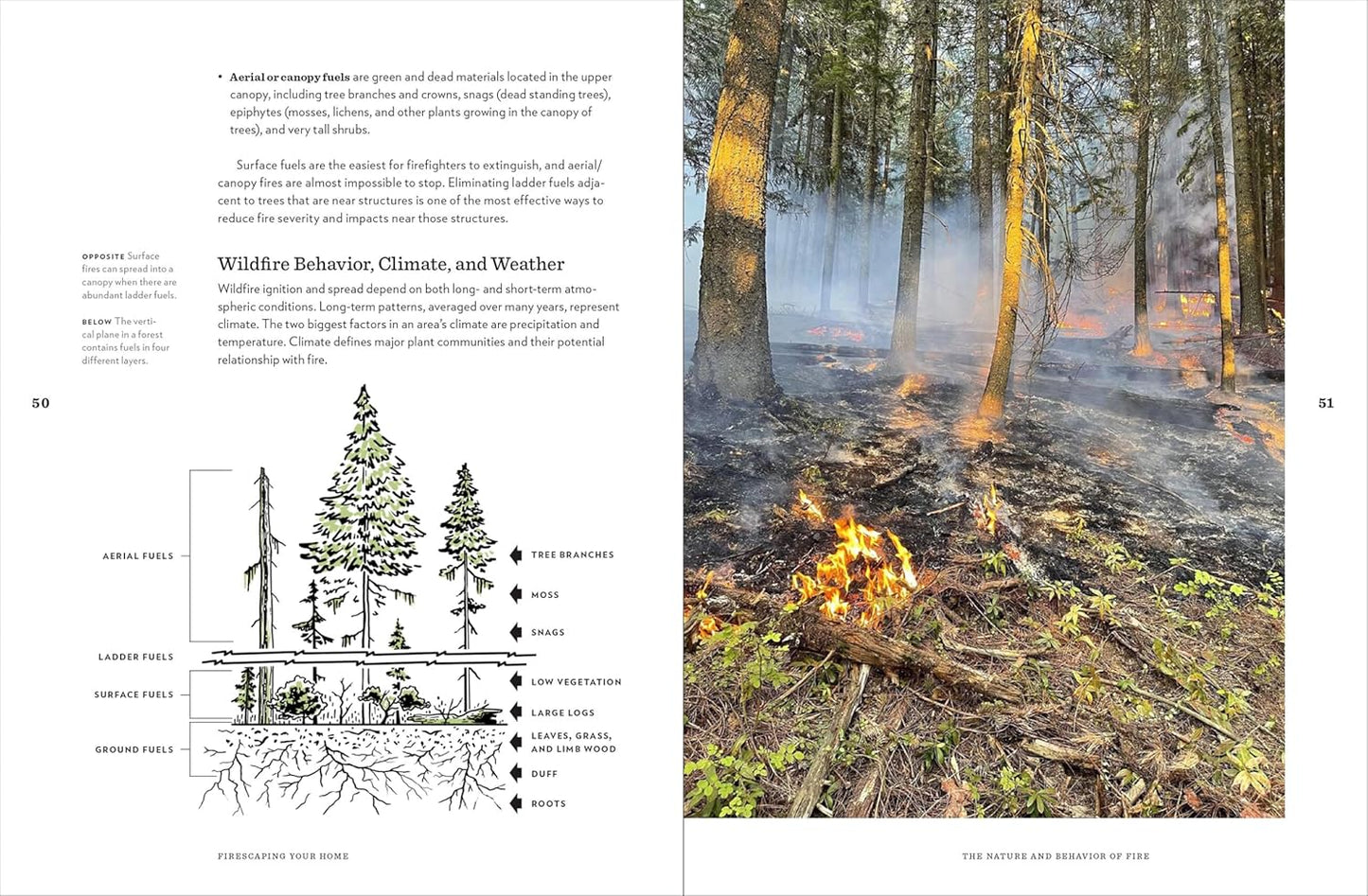 Firescaping Your Home: A Manual for Readiness in Wildfire Country
