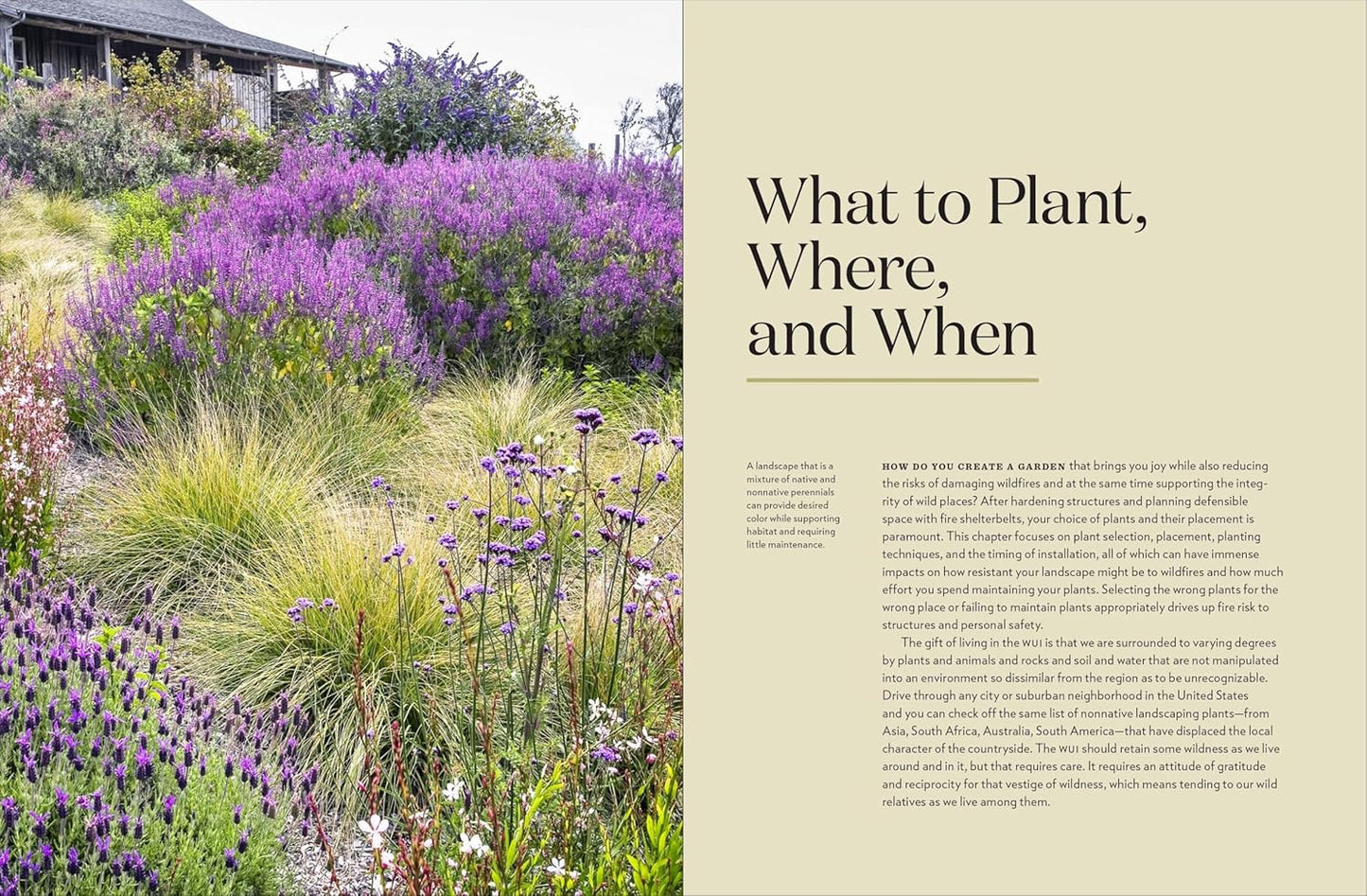 Firescaping Your Home: A Manual for Readiness in Wildfire Country