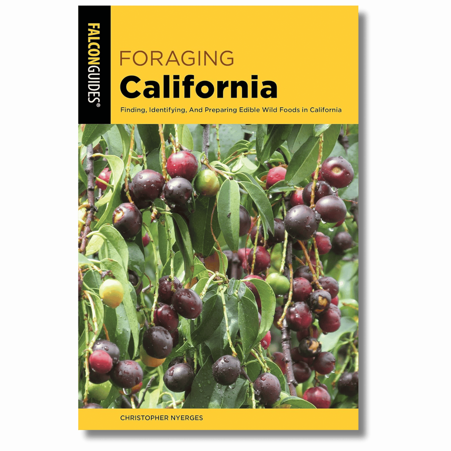 Foraging California: Finding, Identifying, And Preparing Edible Wild Foods In California