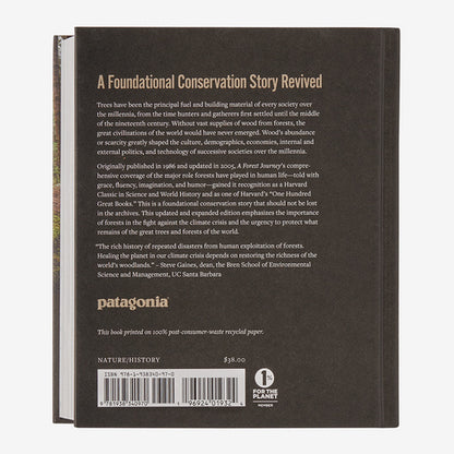 A Forest Journey: The Role of Trees in the Fate of Civilization