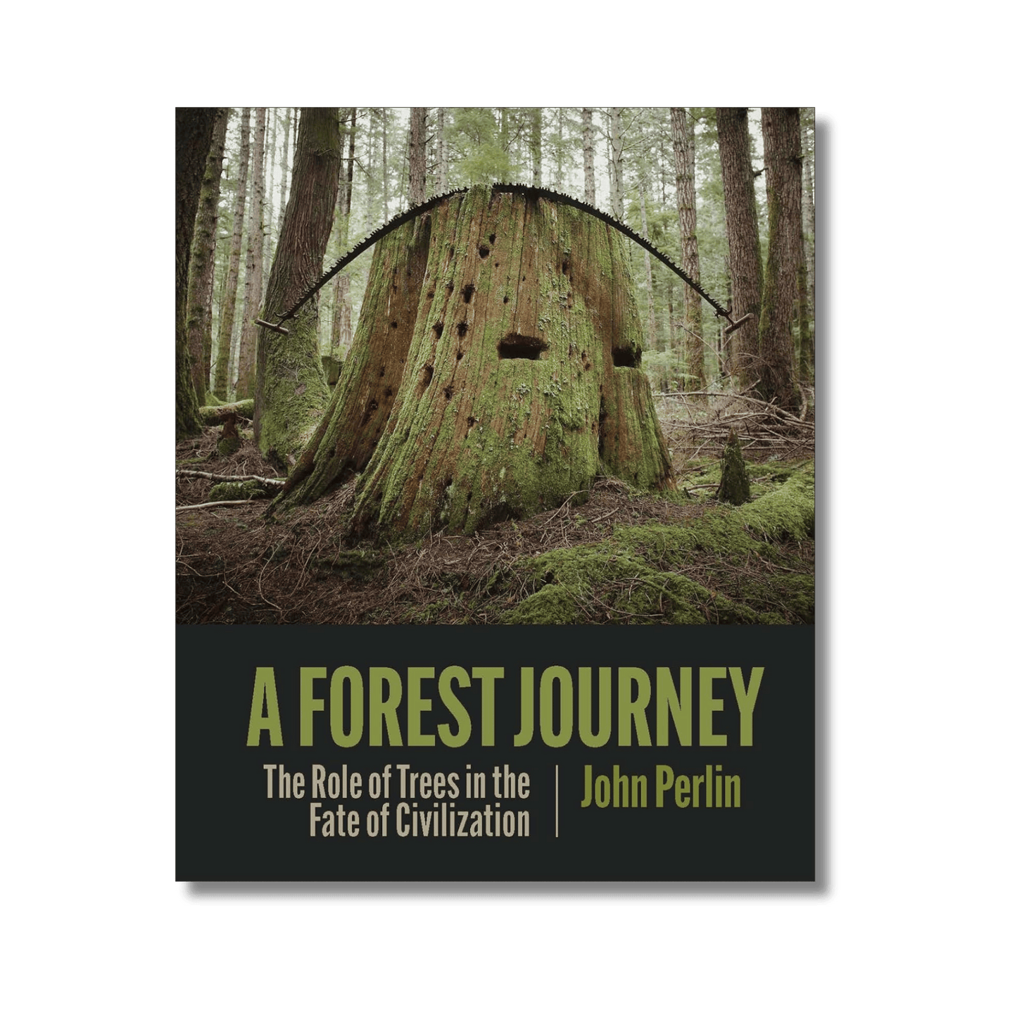 A Forest Journey: The Role of Trees in the Fate of Civilization