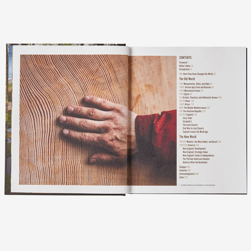 A Forest Journey: The Role of Trees in the Fate of Civilization