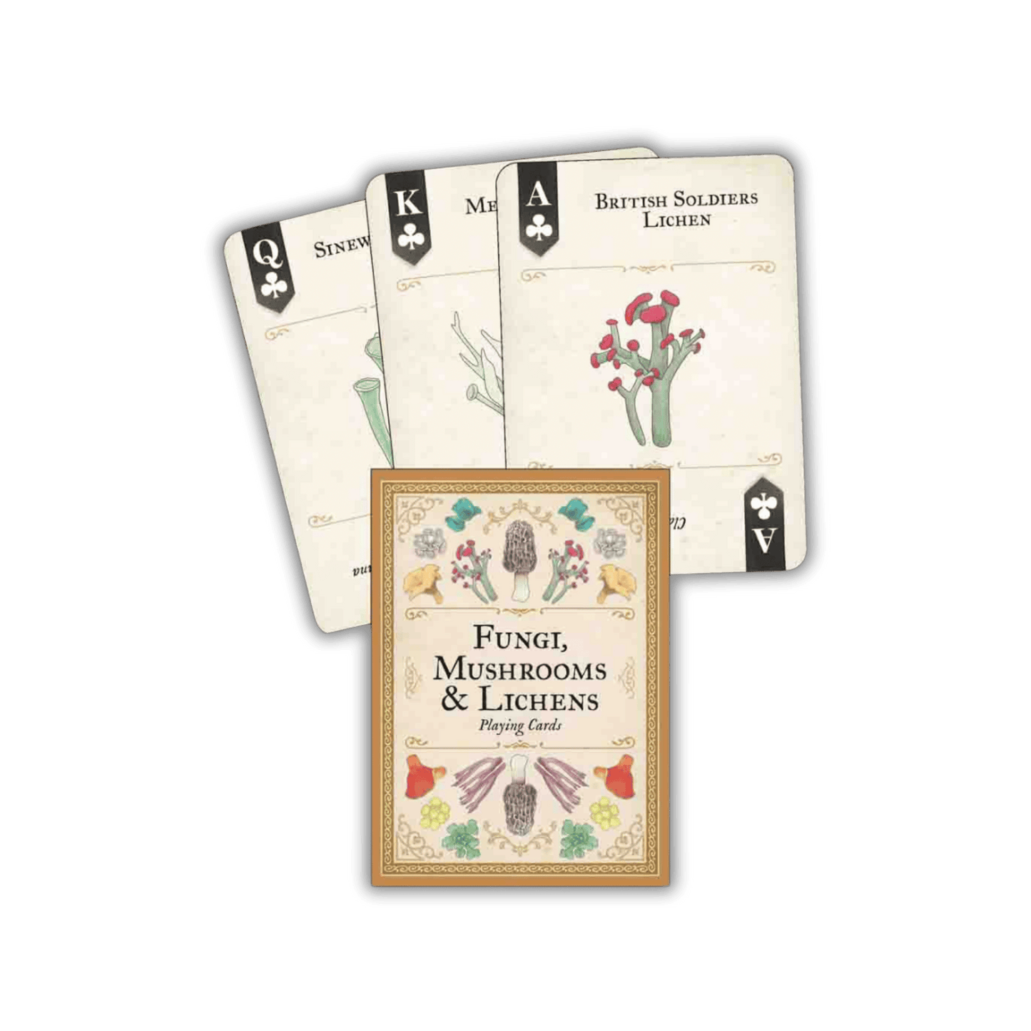 Art of Nature Playing Cards Bundle