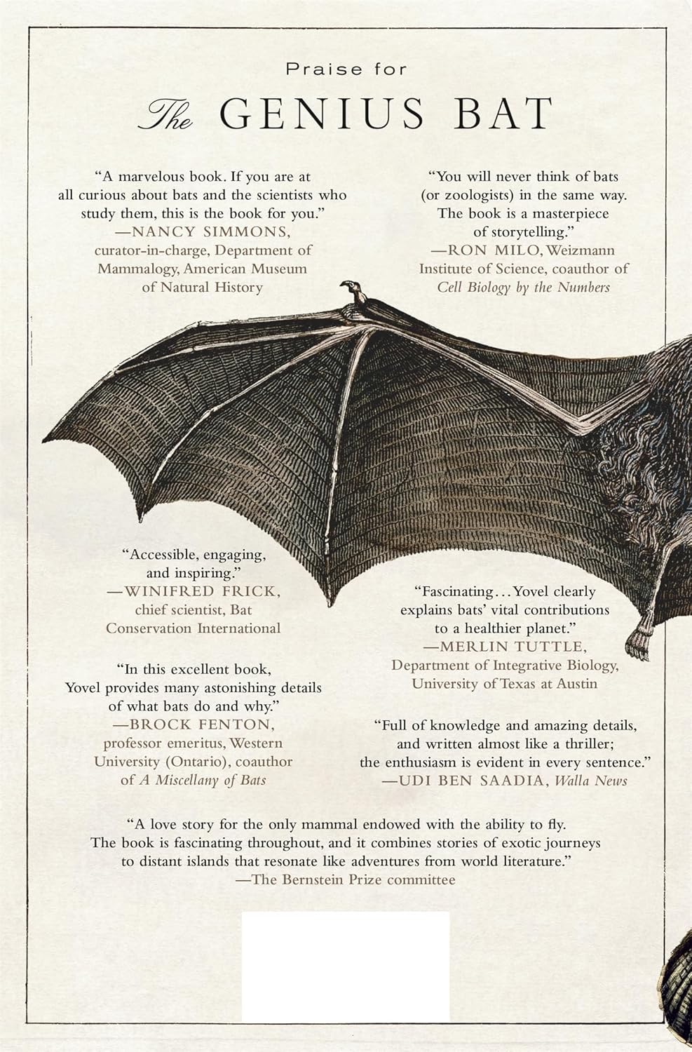 The Genius Bat: The Secret Life of the Only Flying Mammal