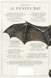 The Genius Bat: The Secret Life of the Only Flying Mammal