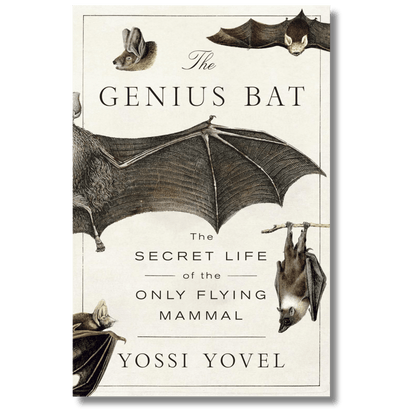 The Genius Bat: The Secret Life of the Only Flying Mammal
