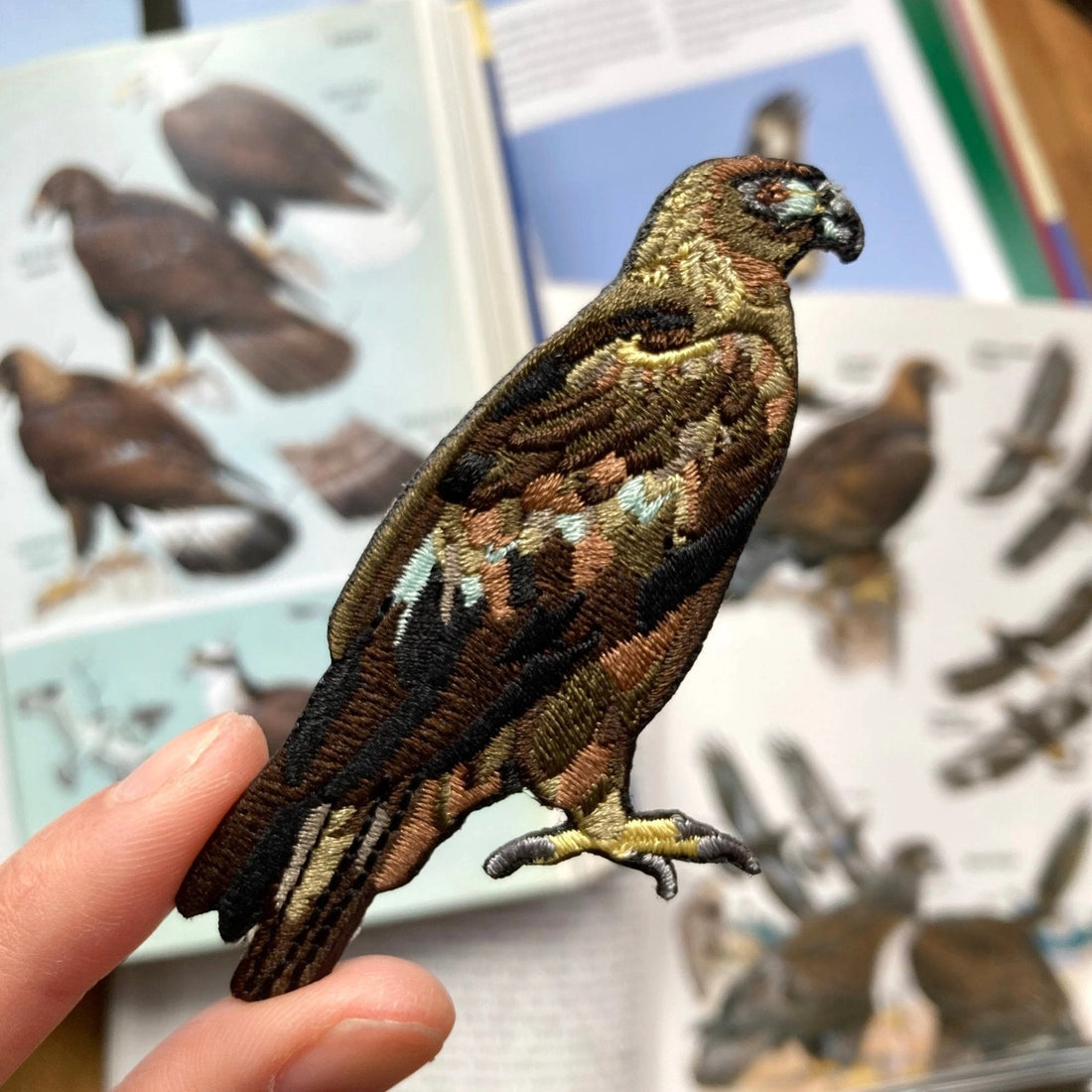Gold Eagle Patch Golden Eagle Patch – The ForestWatch Store