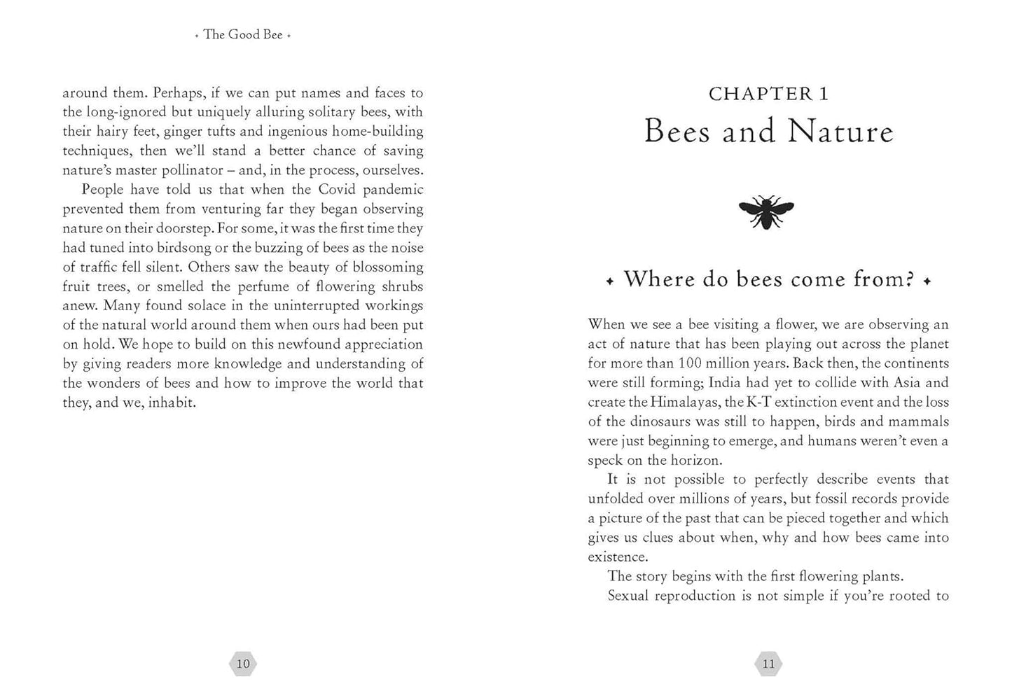 The Good Bee: A Celebration of Bees – And How to Save Them