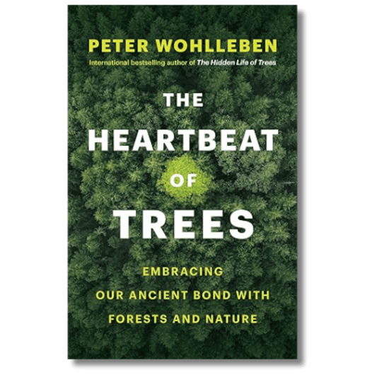 The Heartbeat of Trees: Embracing Our Ancient Bond with Forests and Nature
