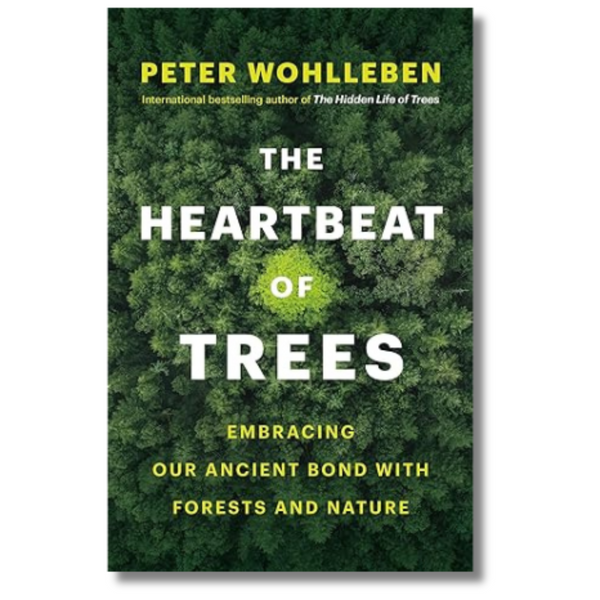 The Heartbeat of Trees: Embracing Our Ancient Bond with Forests and Nature