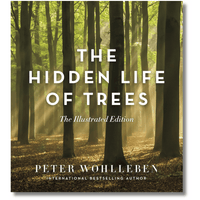 The Hidden Life of Trees: Illustrated Edition