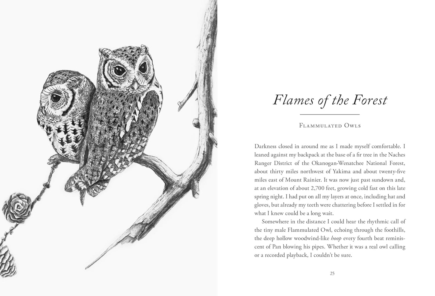 The Hidden Lives of Owls: The Science and Spirit of Nature's Most Elusive Birds
