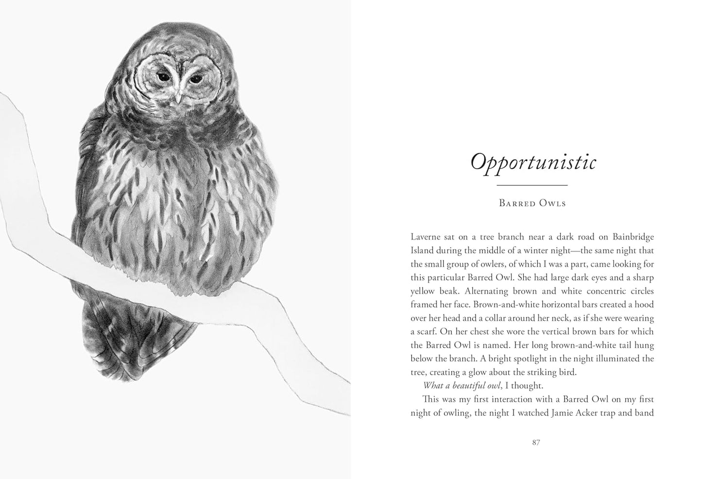 The Hidden Lives of Owls: The Science and Spirit of Nature's Most Elusive Birds