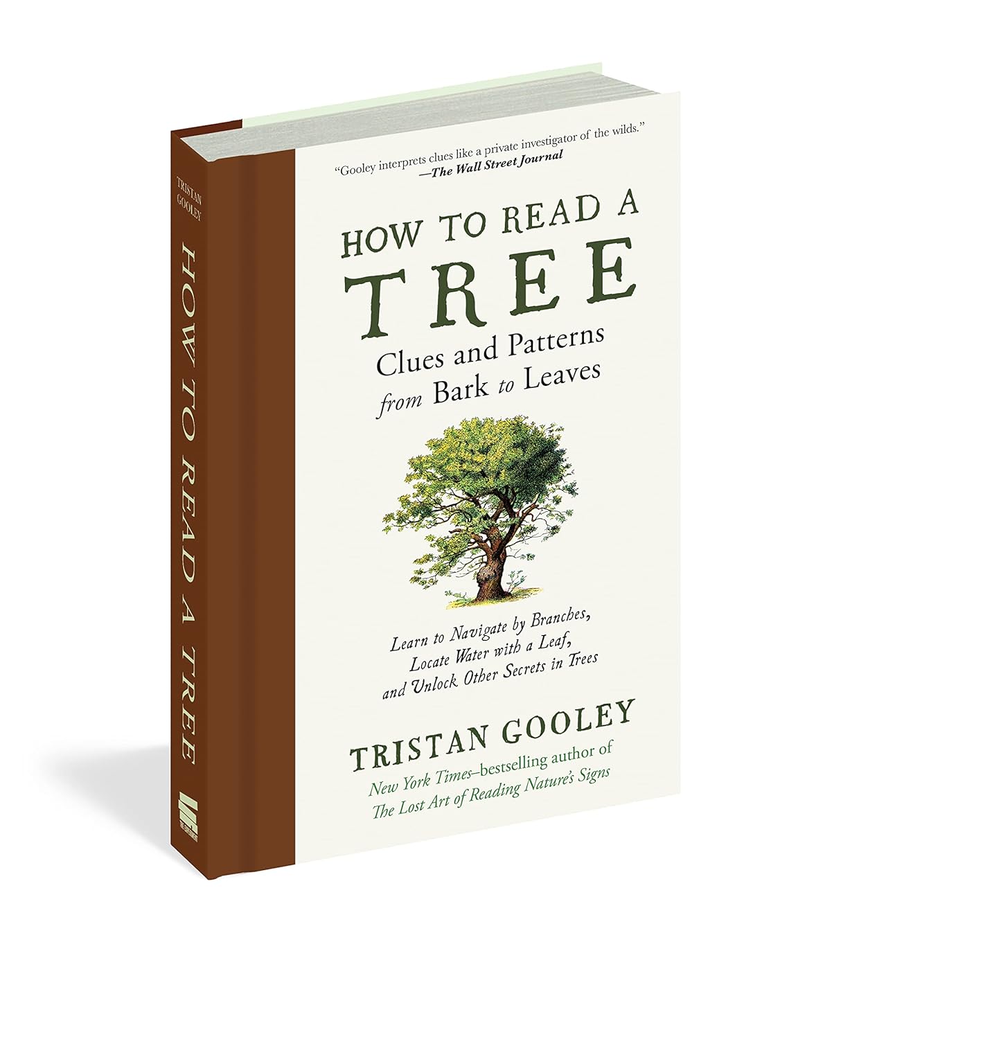 How to Read a Tree: Clues and Patterns from Bark to Leaves