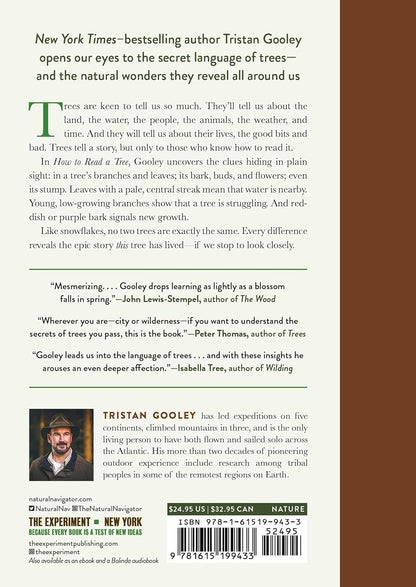 How to Read a Tree: Clues and Patterns from Bark to Leaves