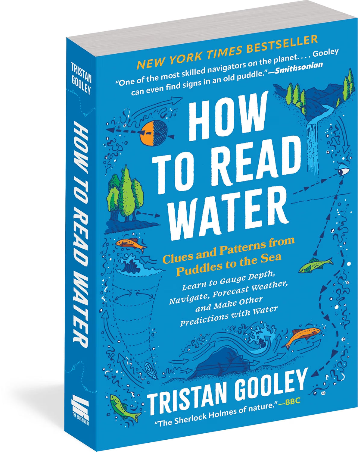 How to Read Water: Clues and Patterns from Puddles to the Sea